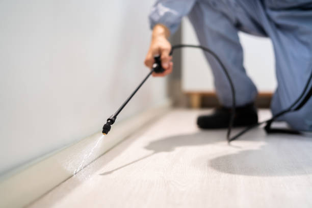 Licensed Rodent Control service in Lake County County, FL - Nex Pest Control