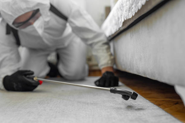 Professional Rodent Control technician working in Lake County County, FL